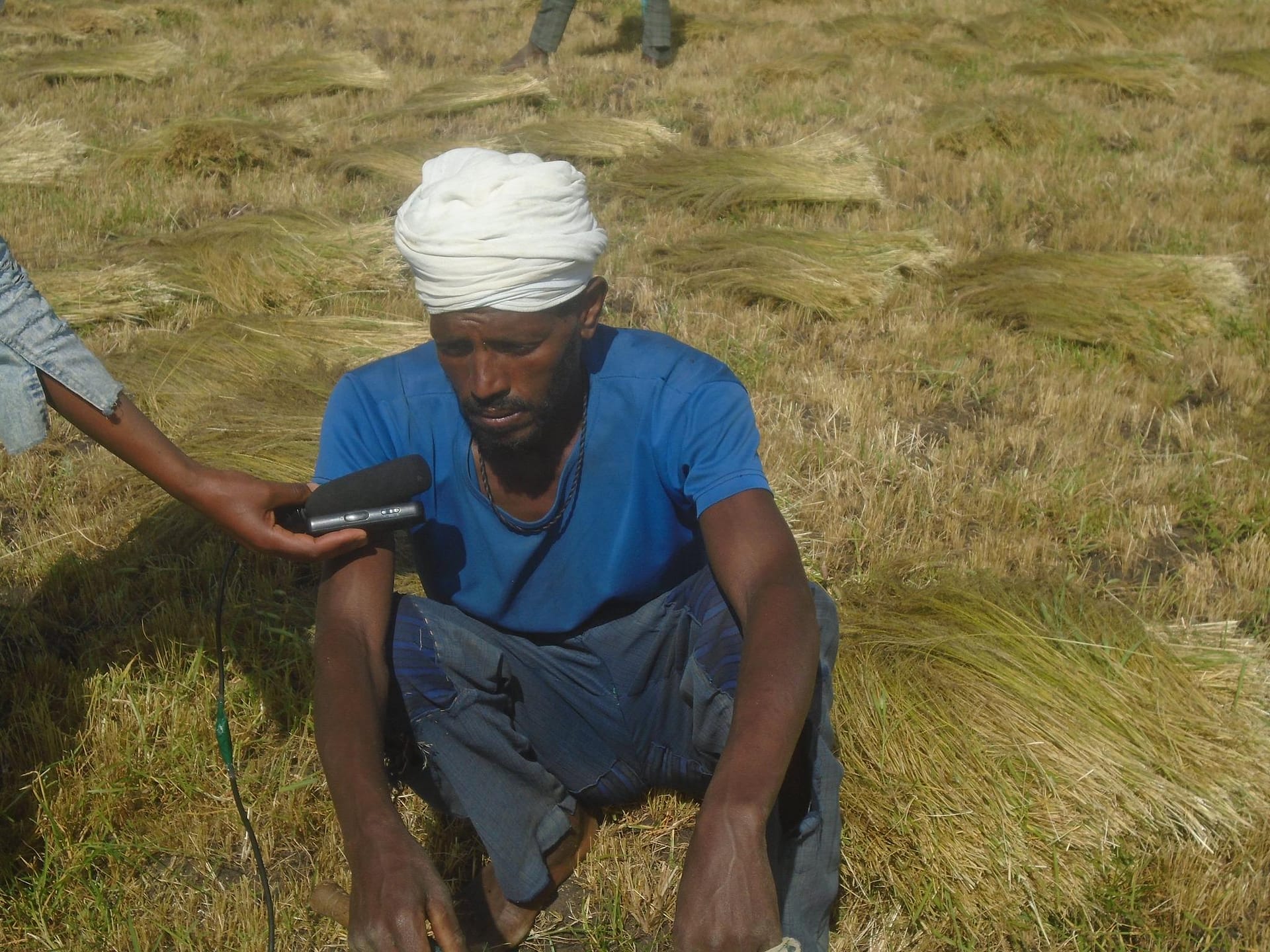  harvesting crops